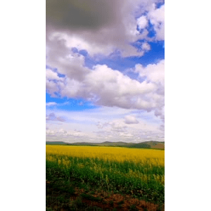 旅行风景2598