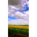 旅行风景2598