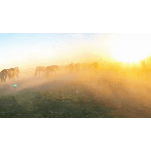 旅行风景2603