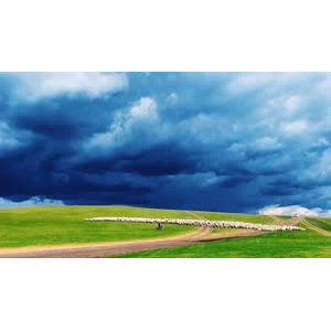 旅行风景2604
