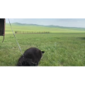 旅行风景2609