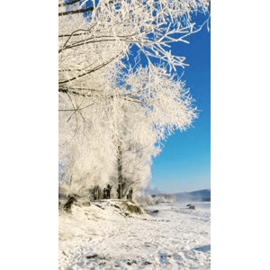 旅行风景2623