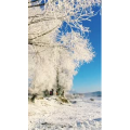 旅行风景2623