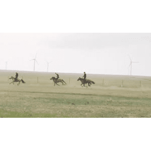 旅行风景2627