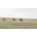 旅行风景2627