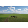 旅行风景2633
