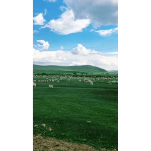 旅行风景2643