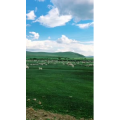 旅行风景2643