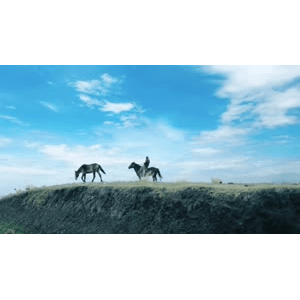 旅行风景2650