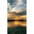 旅行风景2651