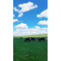 旅行风景2658