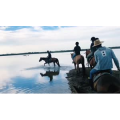 旅行风景2659