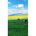 旅行风景2661