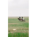 旅行风景2663