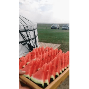旅行风景2666