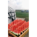 旅行风景2666