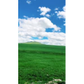 旅行风景2670