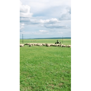旅行风景2673