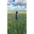 旅行风景2682