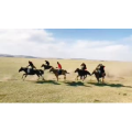 旅行风景2684