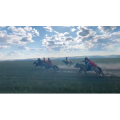 旅行风景2685