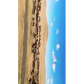 旅行风景2699