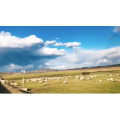 旅行风景2701