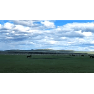 旅行风景2703