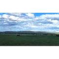 旅行风景2703