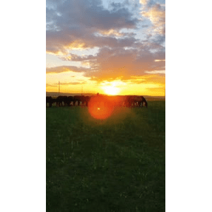 旅行风景2707