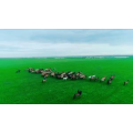 旅行风景2717
