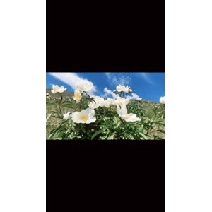 旅行风景2727