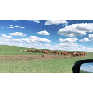 旅行风景2728