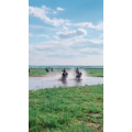 旅行风景2729
