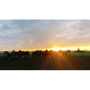 旅行风景2732