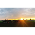 旅行风景2732