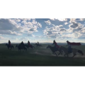 旅行风景2737
