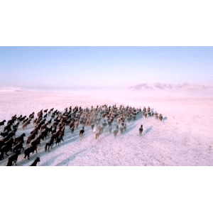 旅行风景2753