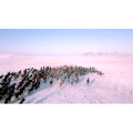 旅行风景2753