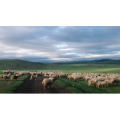 旅行风景2759