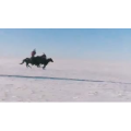 旅行风景2760