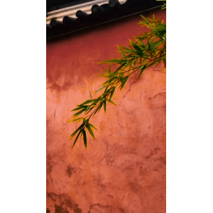 旅行风景2775