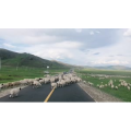 旅行风景2777