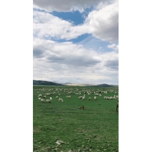 旅行风景2784