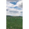旅行风景2784