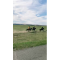 旅行风景2787
