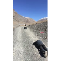 旅行风景2813