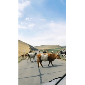旅行风景2817