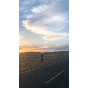 旅行风景2819