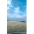 旅行风景2833